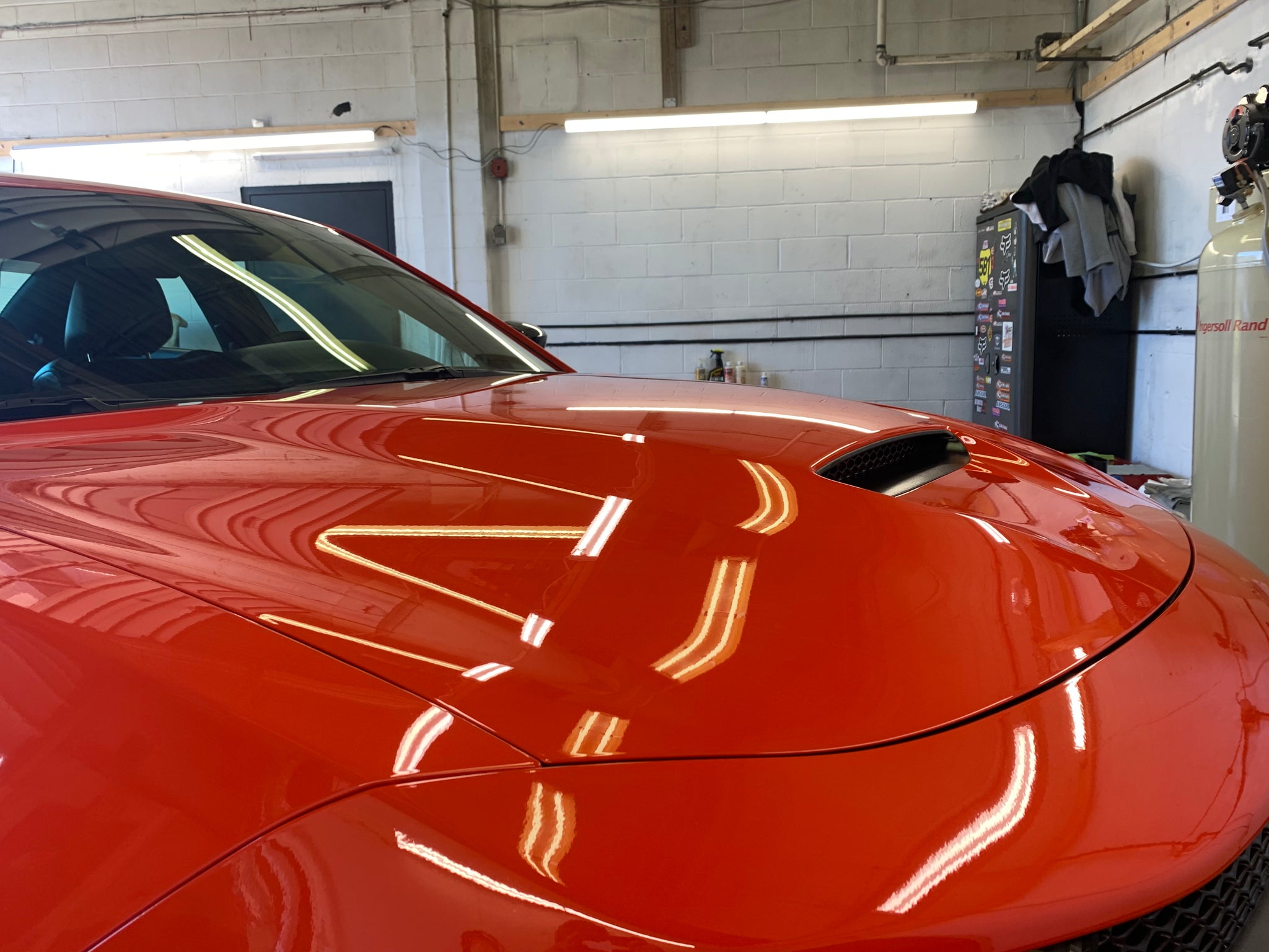 1-Step Paint Correction | Swirl & Light Scratch Remove